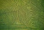 image-thumb-precisionfarming.webp