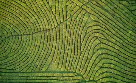 Precision Farming: Can it Really Work? 