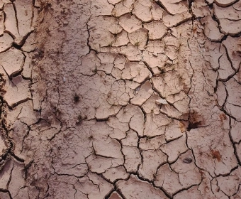 image-thumb-waterscarcity.webp