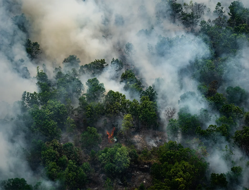 Aerial view of peatland forest fires in Central Kalimantan, Indonesia.
