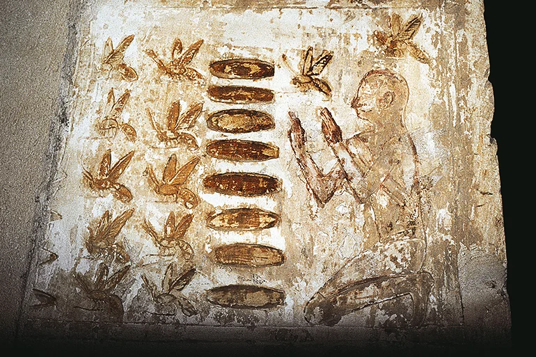 Ancient Egyptian frescos depicting a scene of beekeeping from 672 - 525 BC. Tomb of Pasaba, Ancient Thebes. (DEA / G. LOVERA/De Agostini via Getty Images)