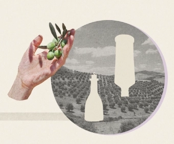 Impacts_of_Climate_Change_on_Olive_Oil_thumb1.webp