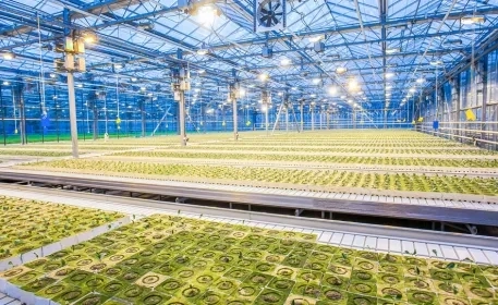 Improving Food Production with Agricultural Technology and Plant Biotechnology