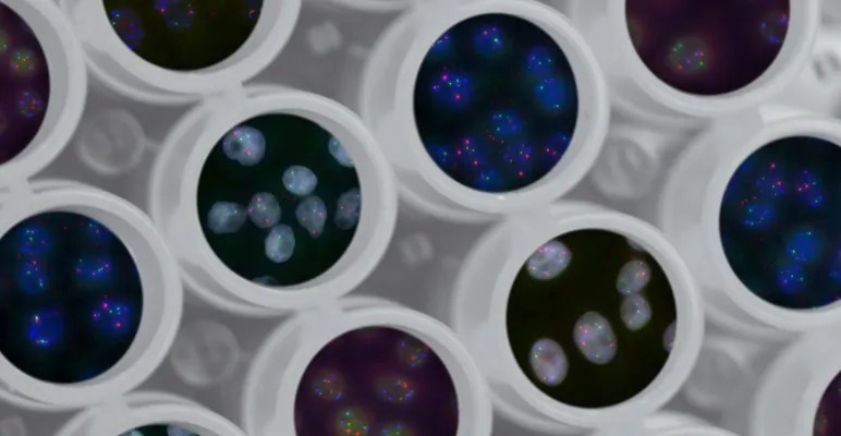  CRISPR-Cas9