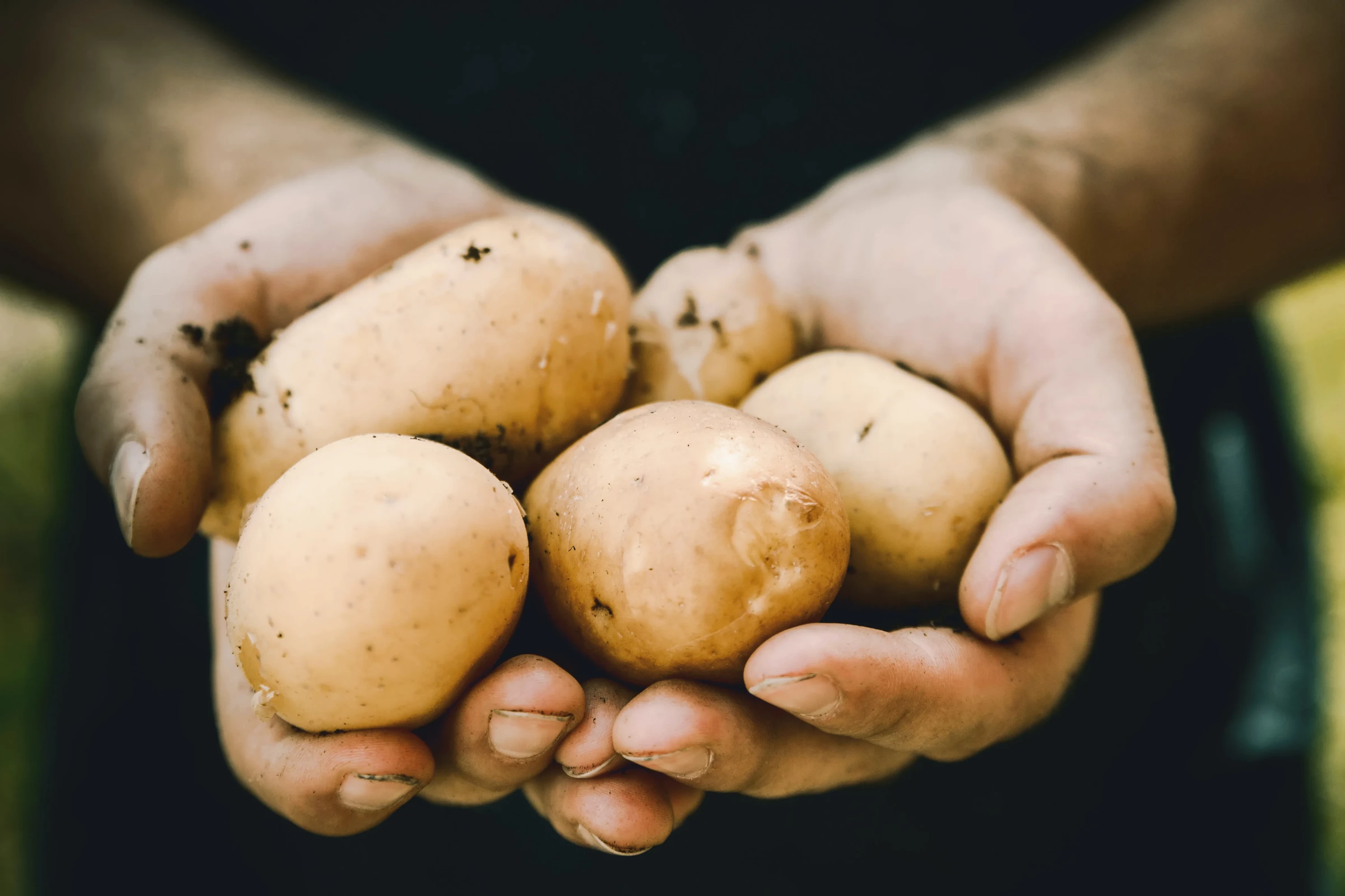 Organic Food