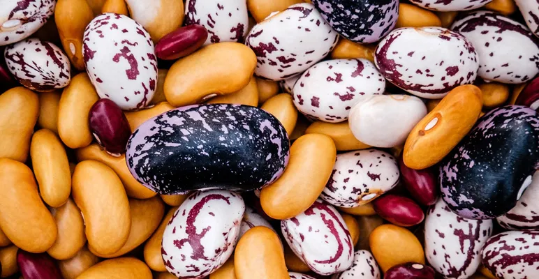 Gene-Edited Foods