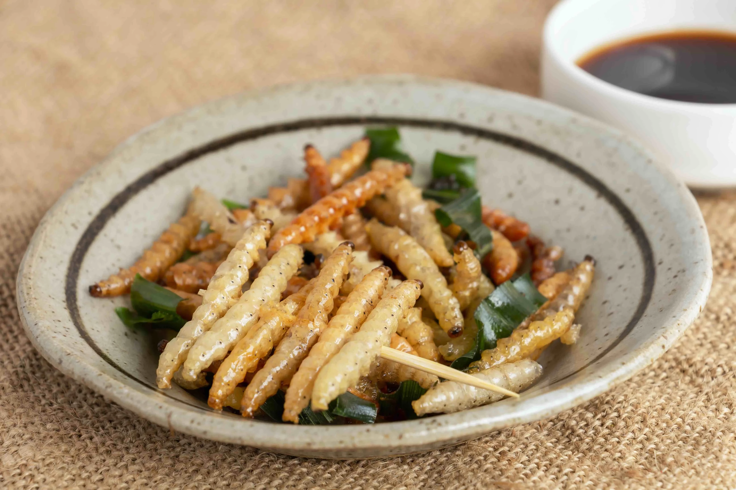 Edible insects