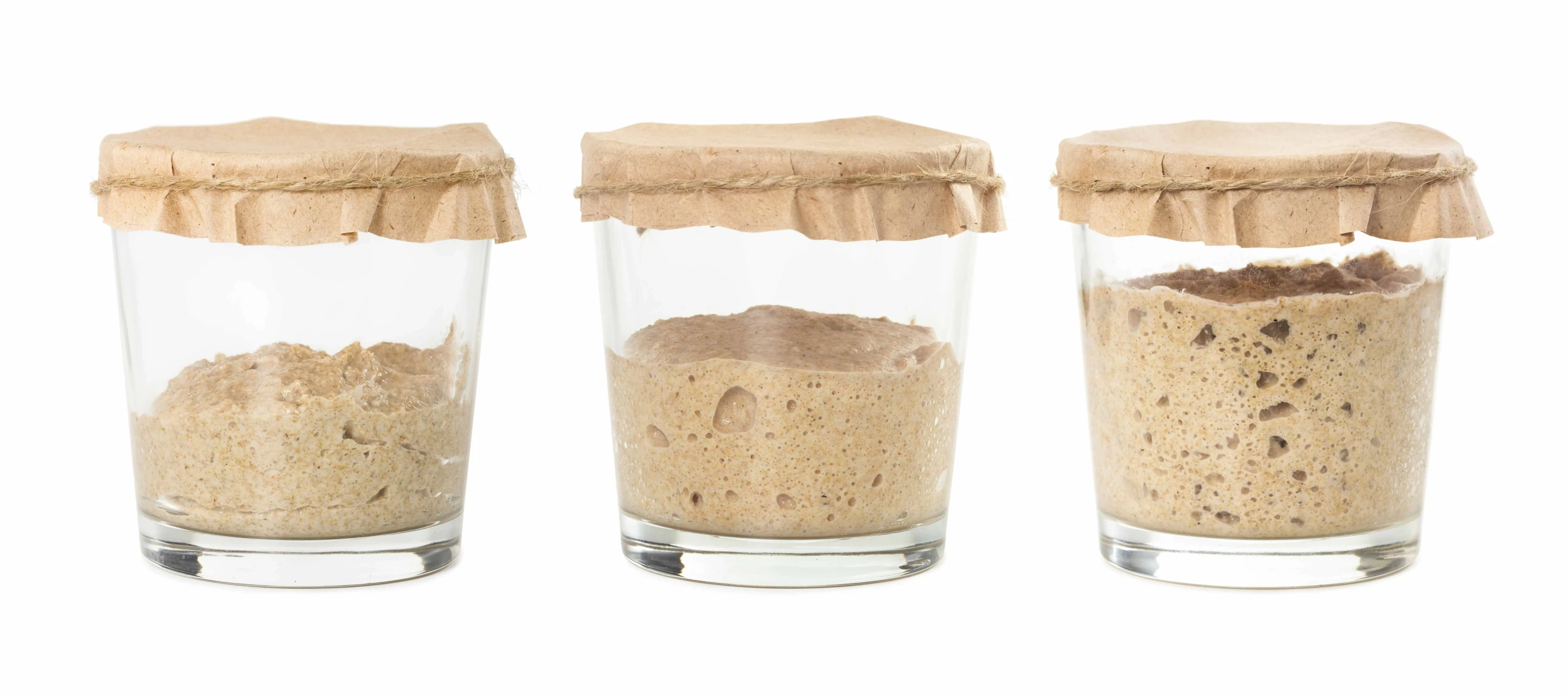 Sourdough fermentation process