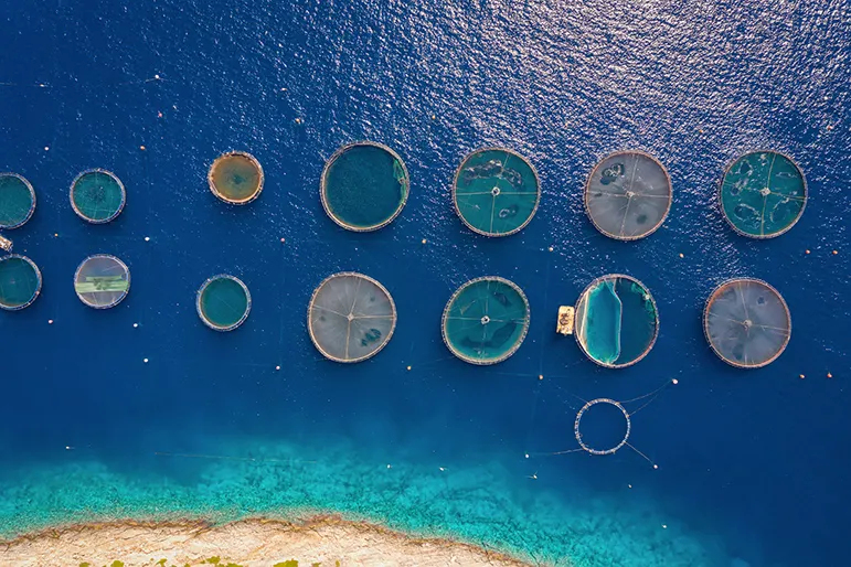 fish farm