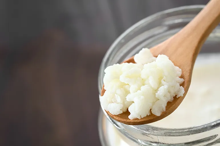 Gut Health & Fermented Foods