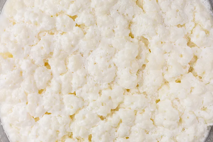 fermented foods