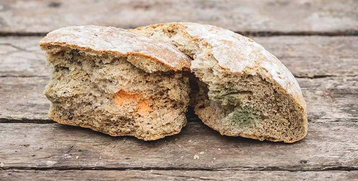 Bread