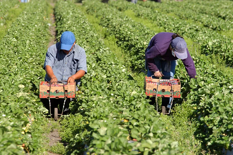  shortage of labour