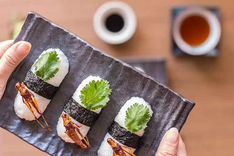 Sushi