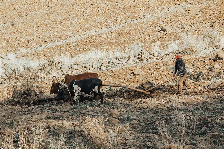 Small-scale farmers 