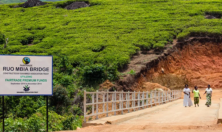 Ruo MBIA Bridge