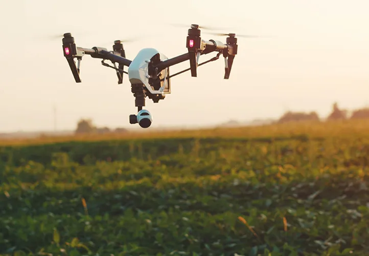 Drone