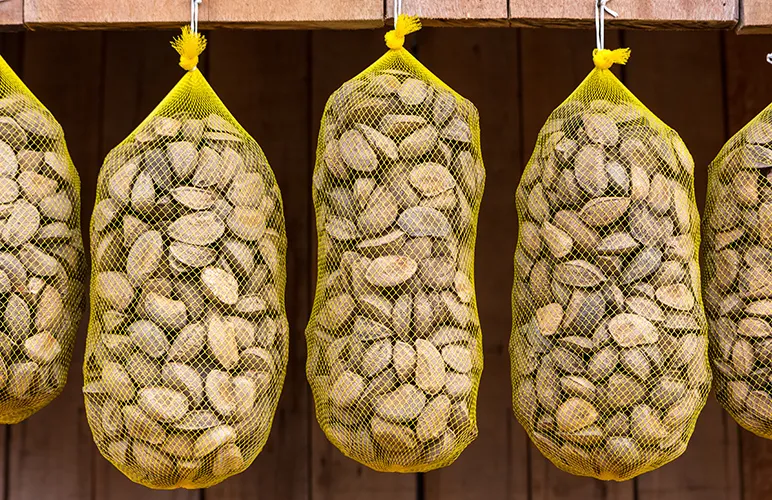 Brazil nuts