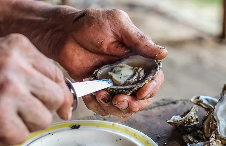 Shellfish