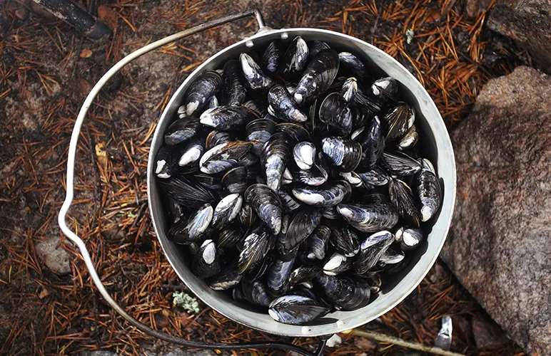 Shellfish