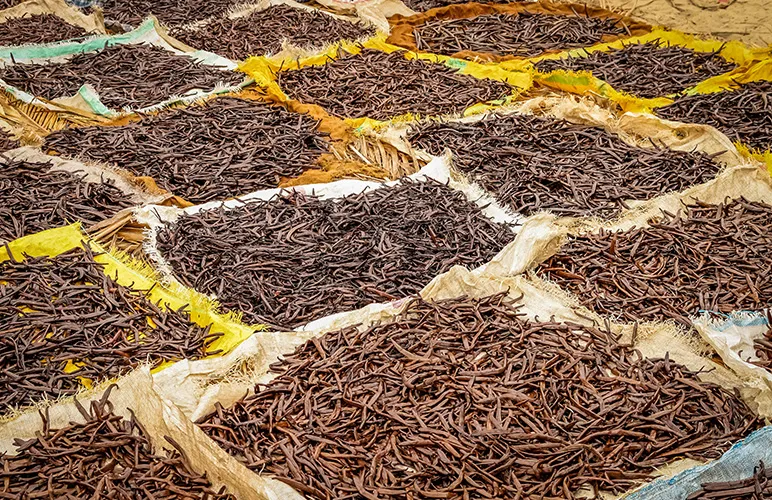 Vanilla Pods