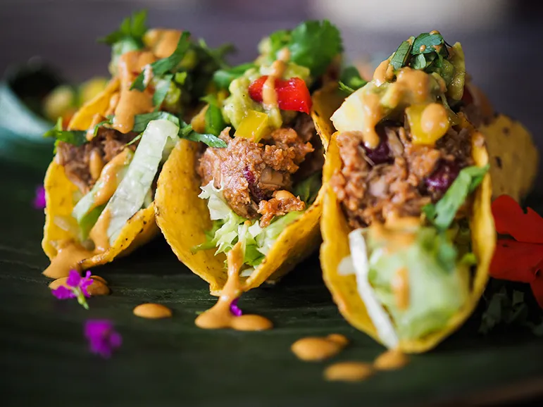 Jackfruit tacos