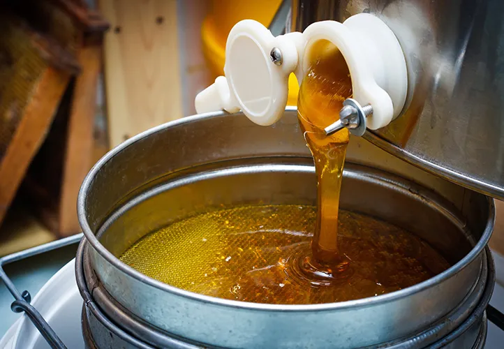 Manuka honey