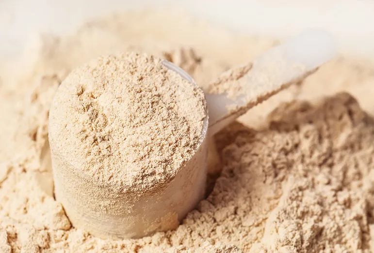 Protein powder
