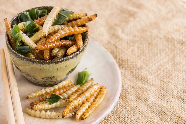 Edible insects