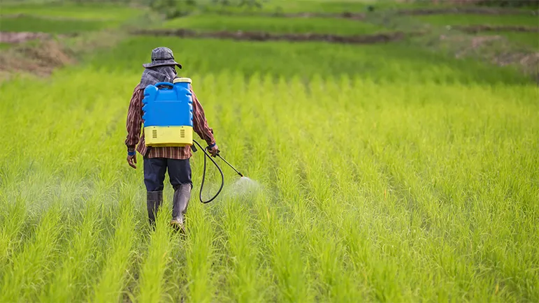 Pesticides in Organic Farming