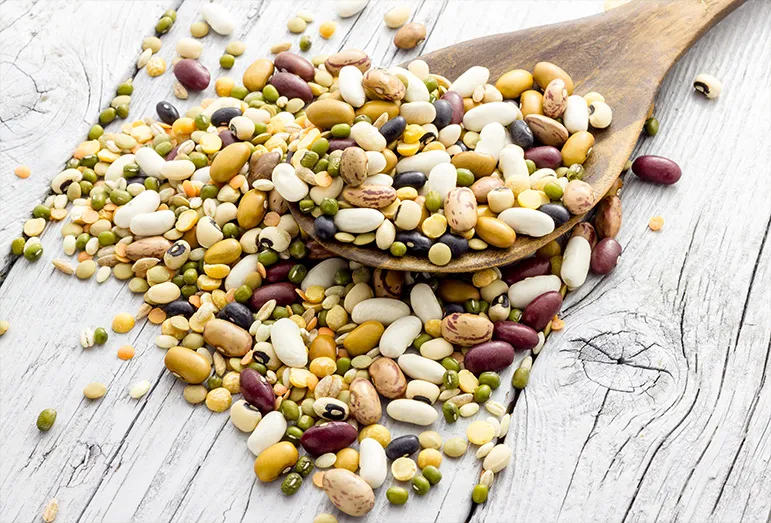 Plant-based protein