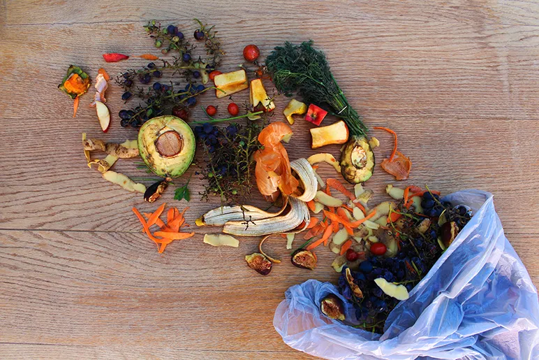 Do you know what food you waste?
