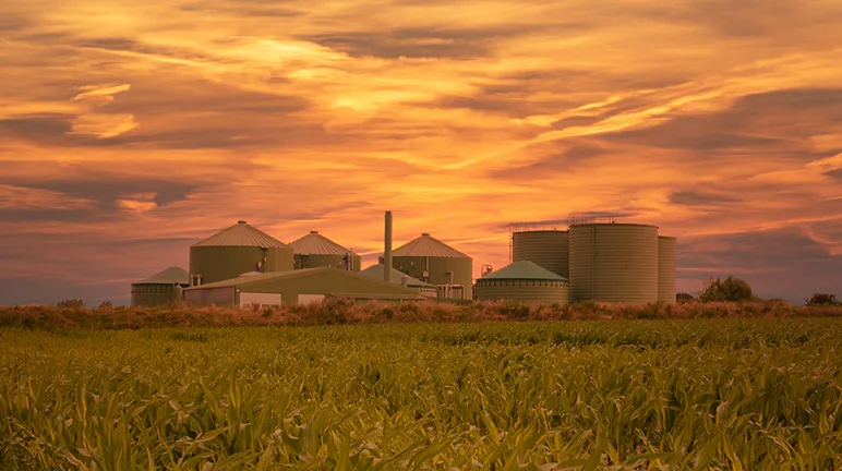 Ask your local collection about converting food waste into biofuel