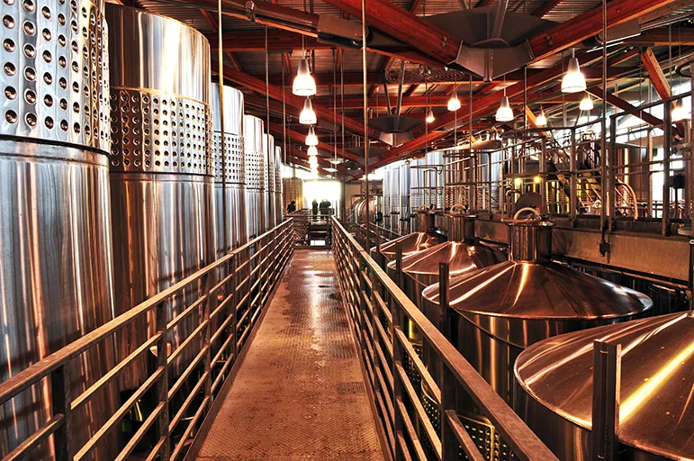 Fermentation