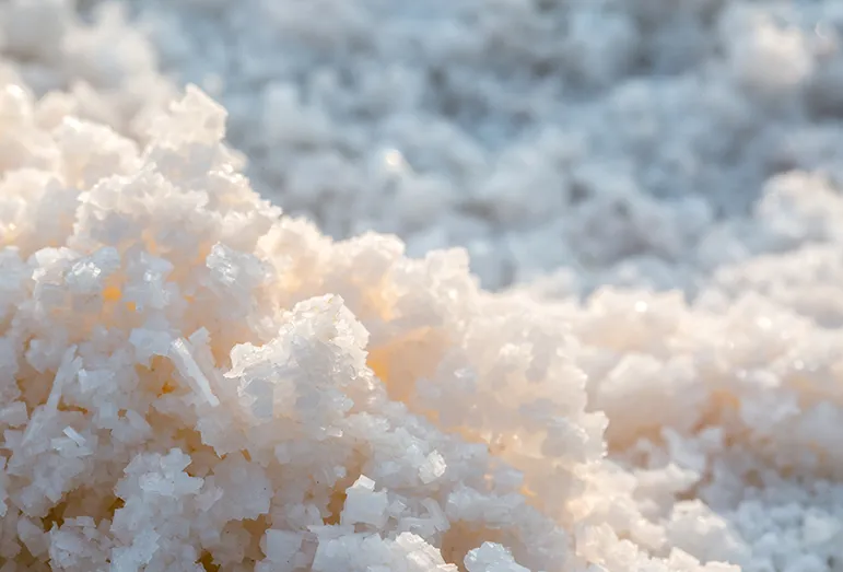 Salt
