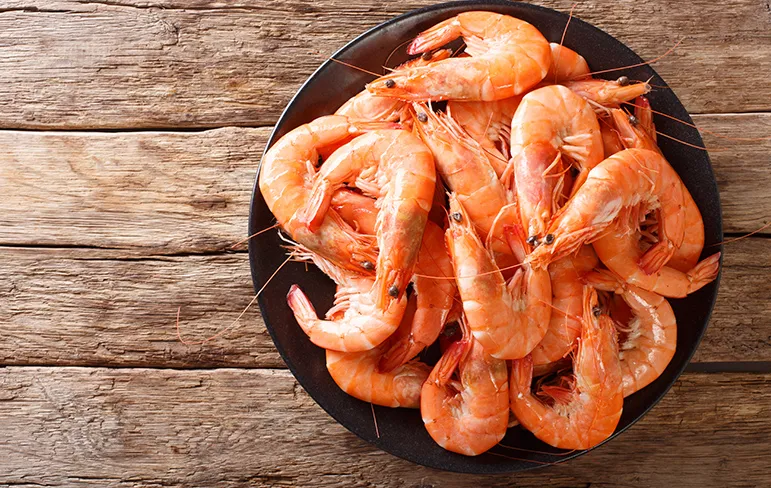 Shrimp