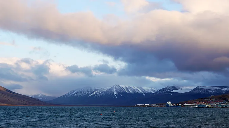  Polar Permaculture