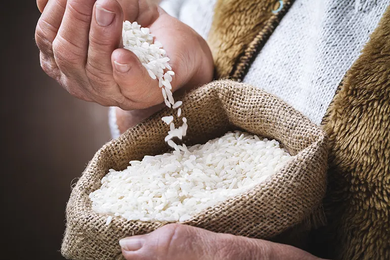 Rice