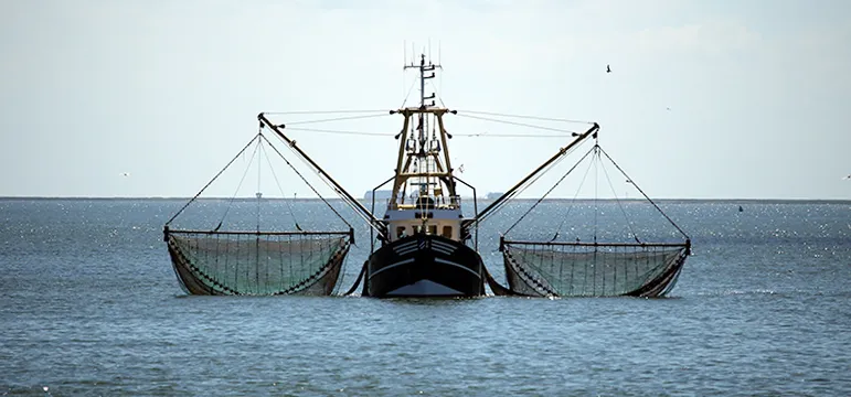 Towed Gear