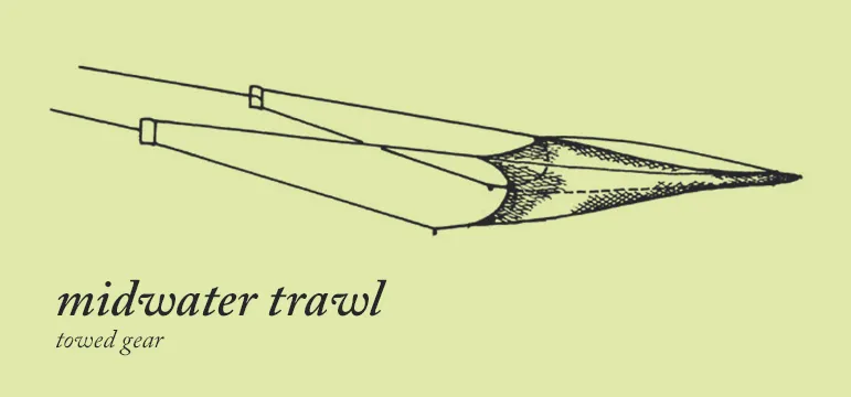 midwater trawl