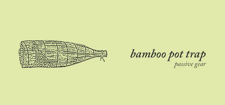 Bamboo pop trap