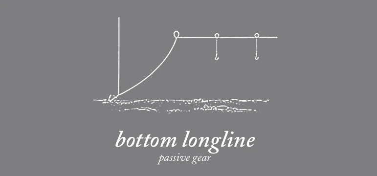 Bottom lopngline