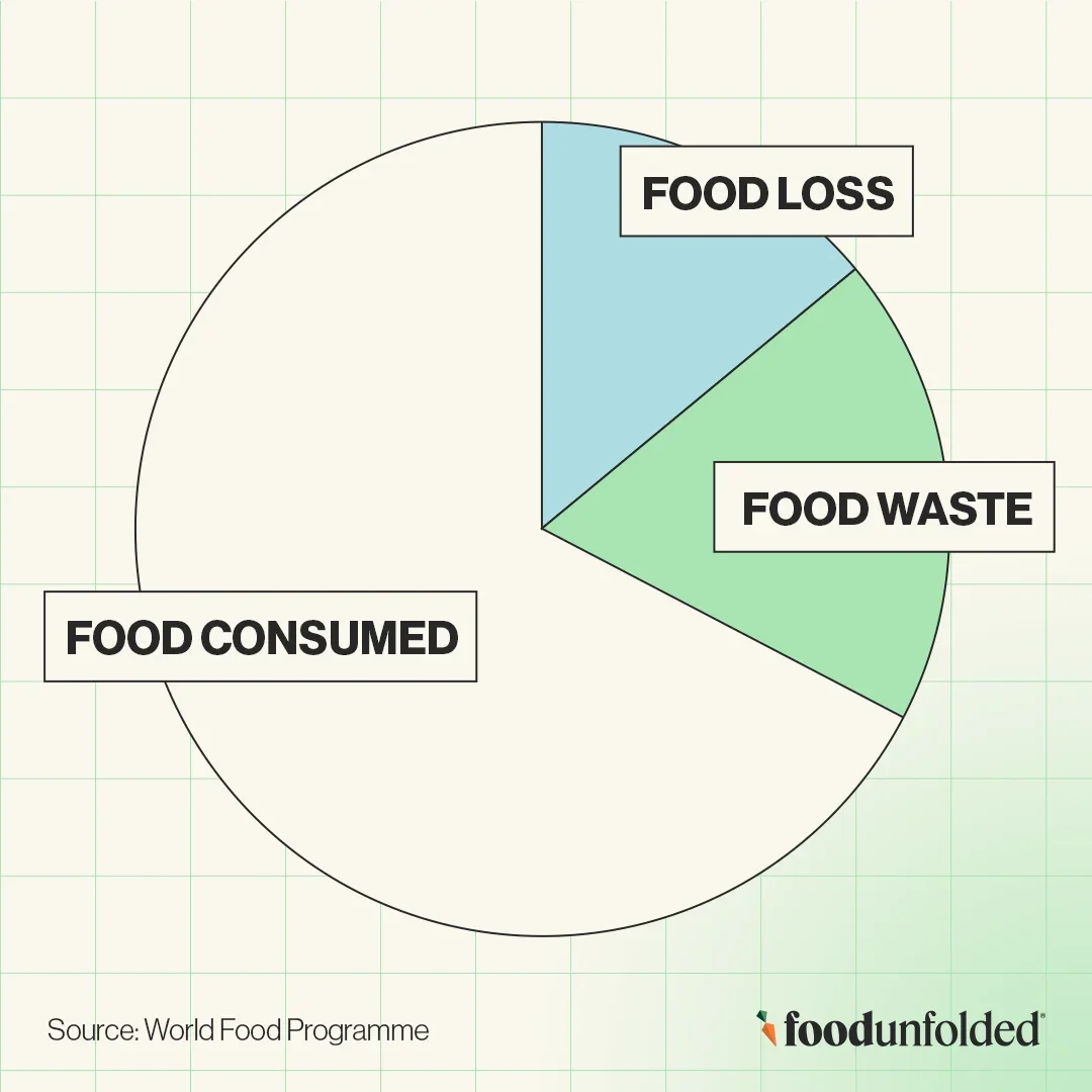 Lost food infographic