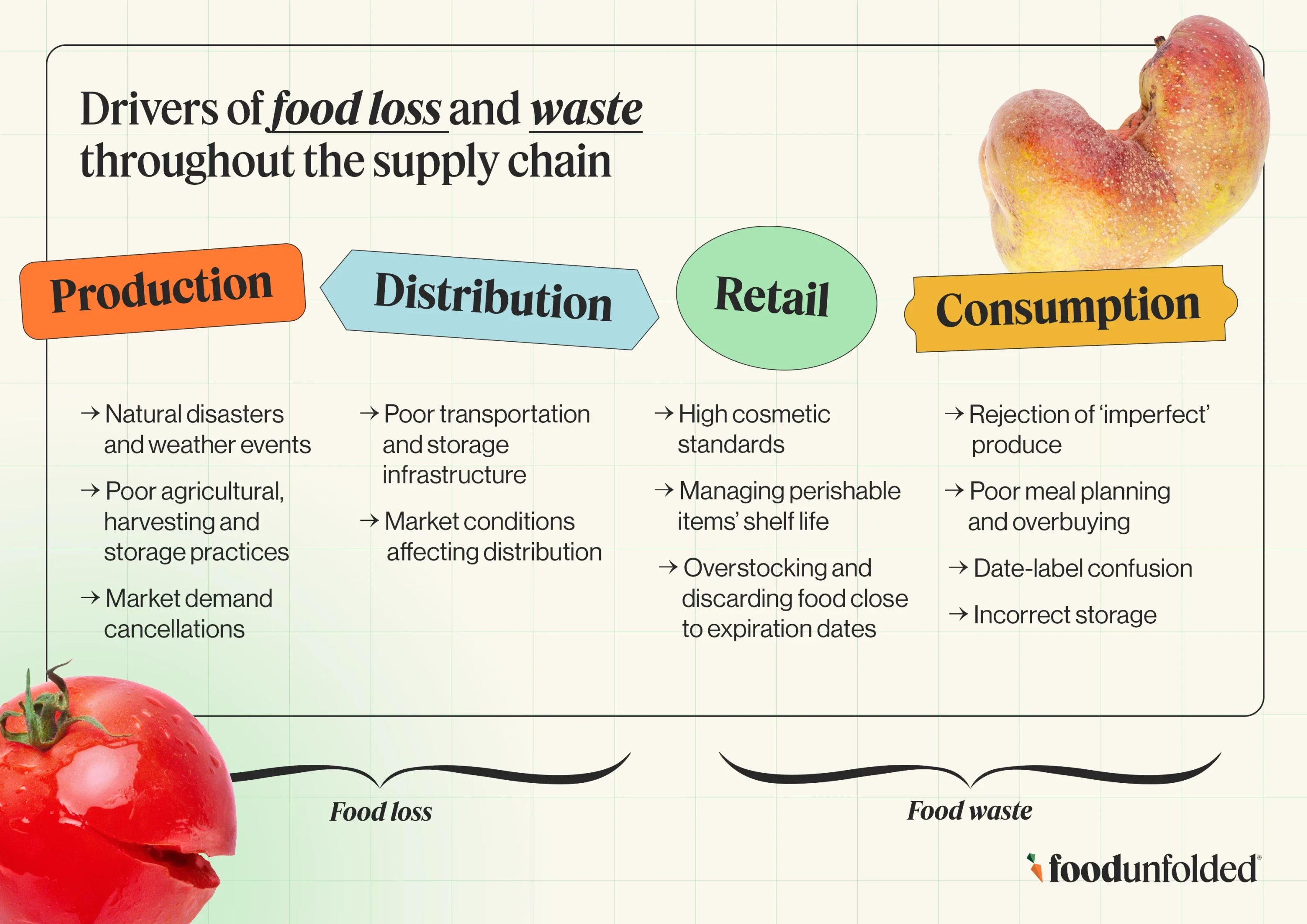 Lost food infographic