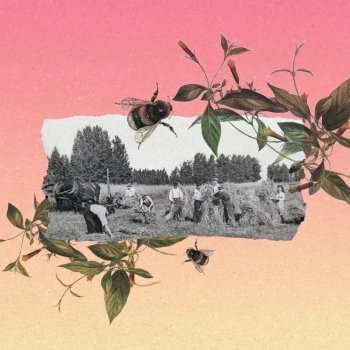 Regenerative Agriculture: How Did It Start And Where Is It Headed?