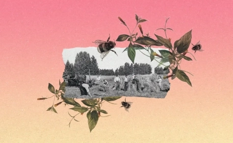 Regenerative Agriculture: How Did It Start And Where Is It Headed?
