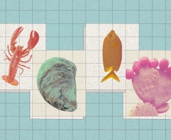 Could Invasive Species be the Future of Sustainable Dining? 
