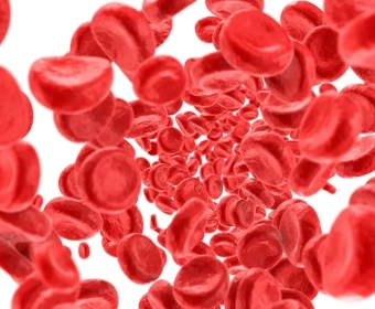 4 Tips To Improve Iron Absorption