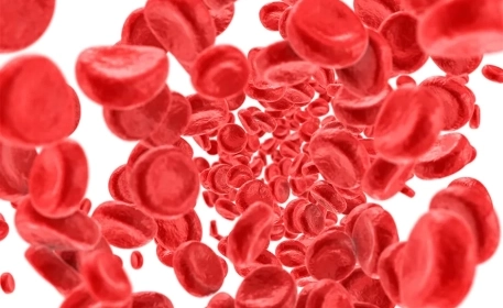 4 Tips To Improve Iron Absorption