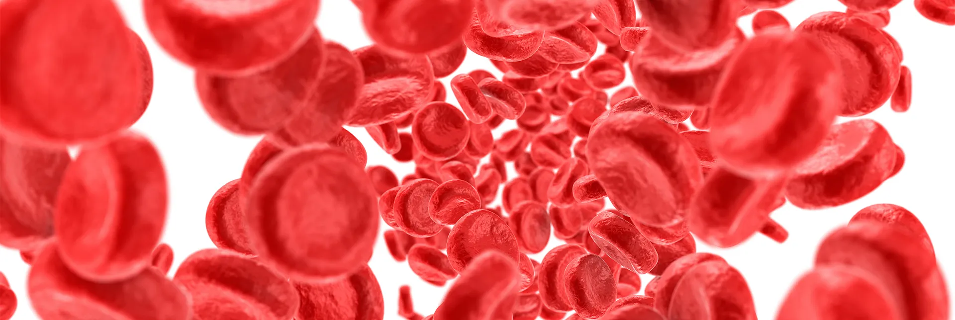 iron-absorption-header.webp